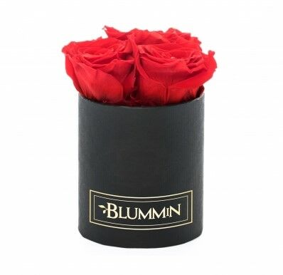 XS BLUMMiN - black box with 3 VIBRANT RED roses - SLEEPING ROSES