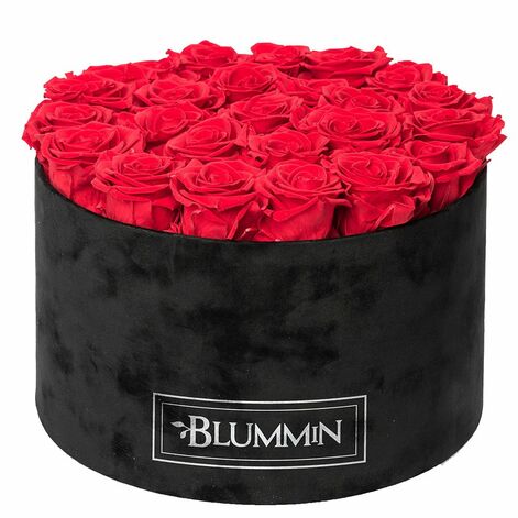 EXTRA LARGE BLUMMiN - melna samta kaste ar 25 VIBRANT RED rozēm, snaudošām rozēm