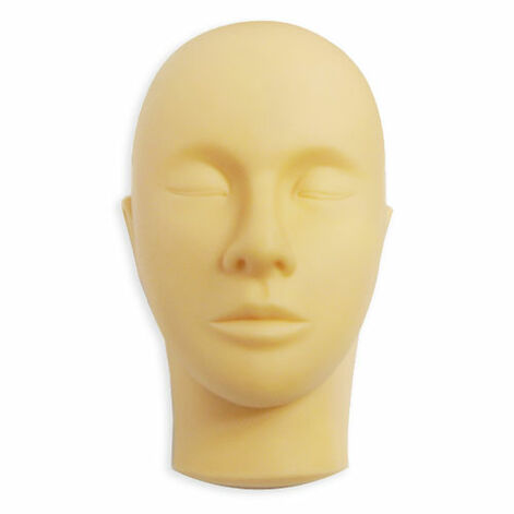 Head of the dummy, the dummy's head for study