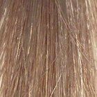 L'oréal Majirel Absolu